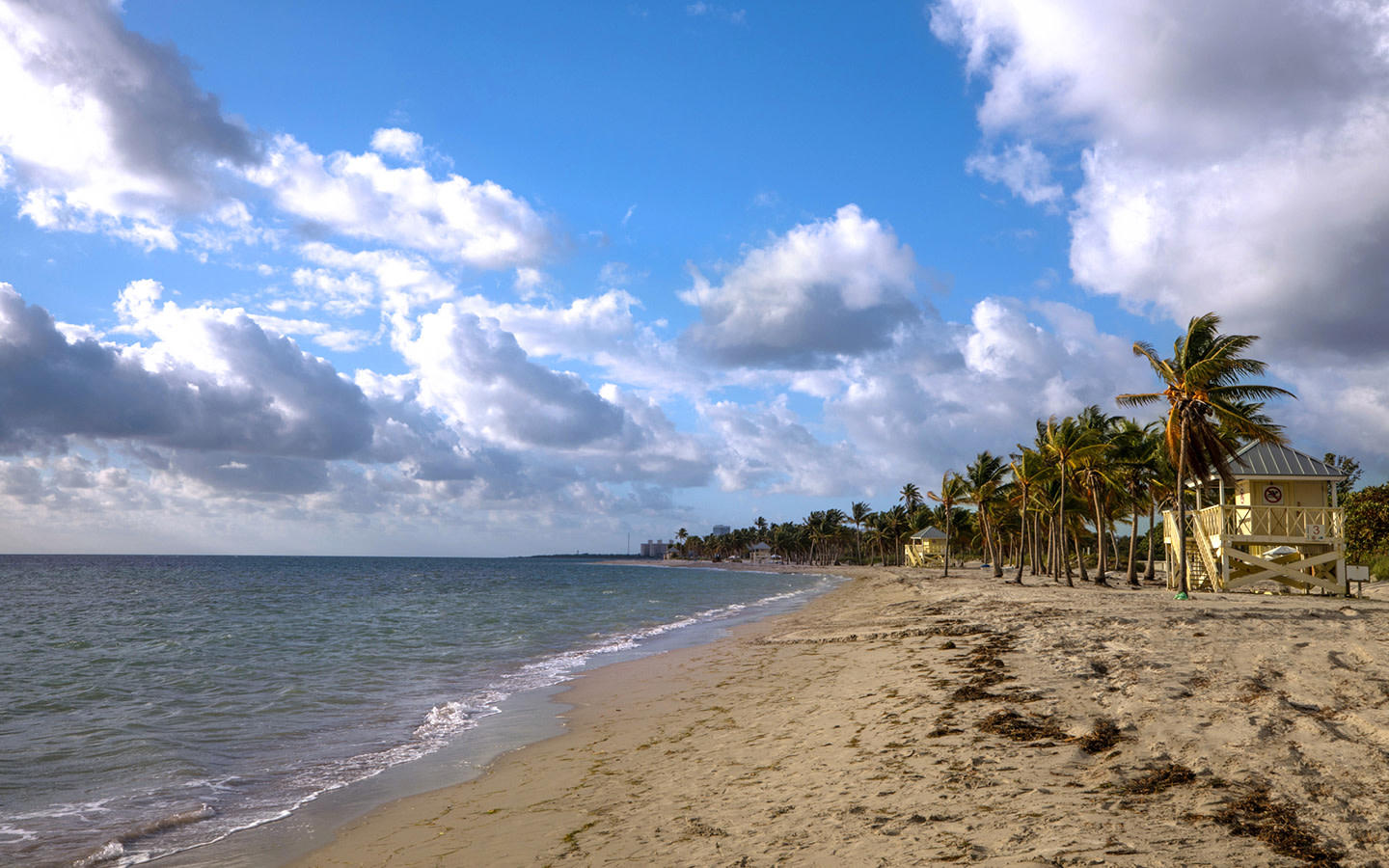 Sand dunes and seaside vegetation