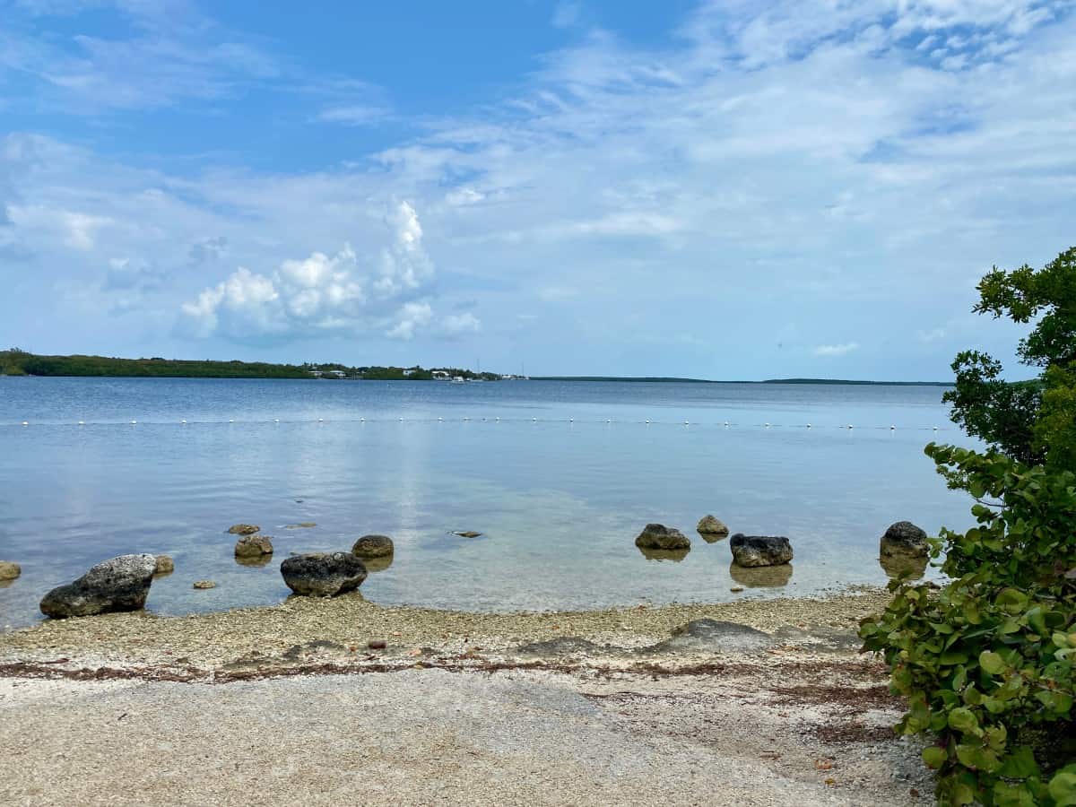 Picnic area with coastal vegetation and water views