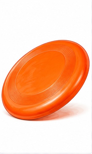 Example category image of Family frisbee; exact Amazon listing match is unverified