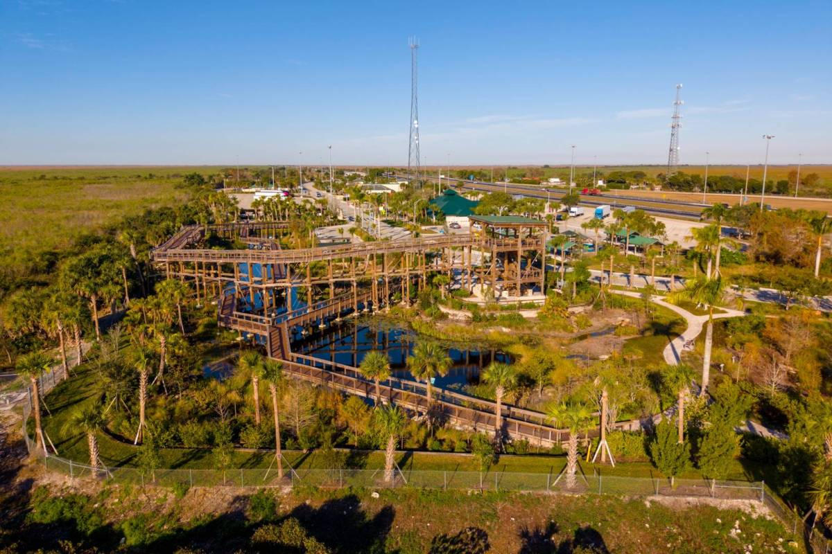 Aerial view of planted green space